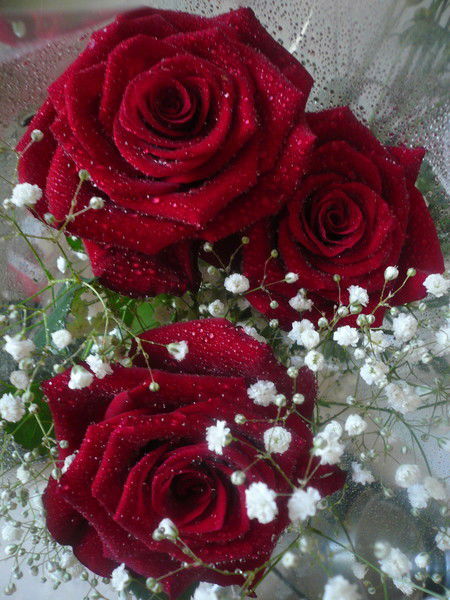 Мусаев Арман