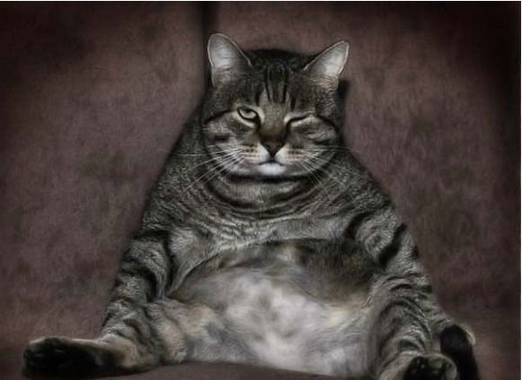 Сергей Зыза