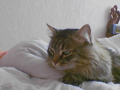 Ольга Николина