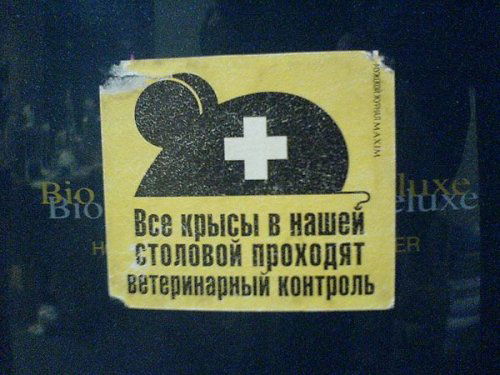 Угадайте С Одного Раза