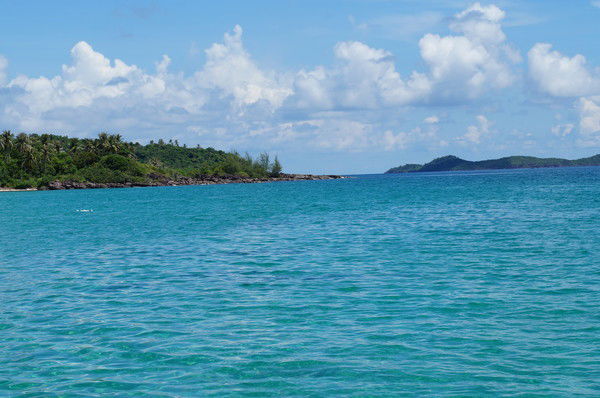 Неля Андреева