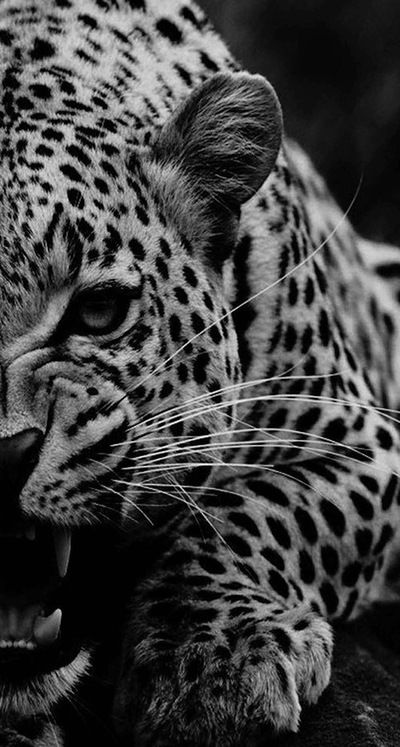 Амина Аминова