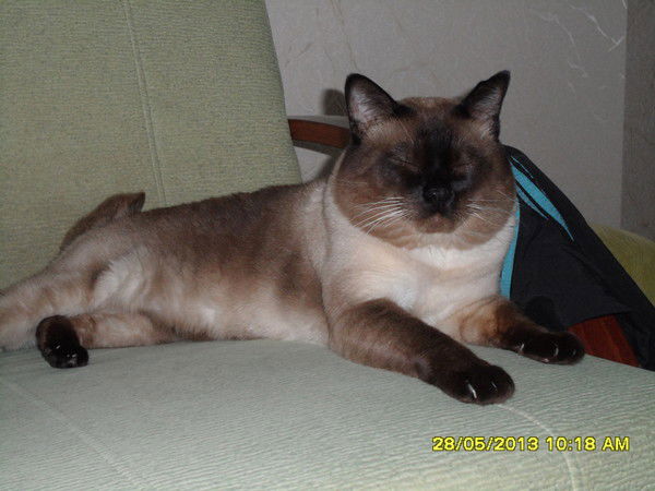 Лариса Богданова