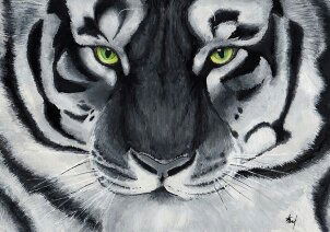 Александр Шипицын