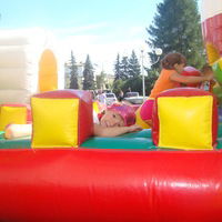 Лариса Сунцова