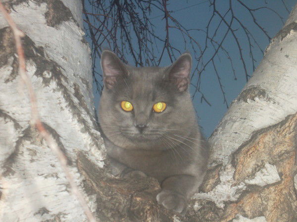 Валерия Попова