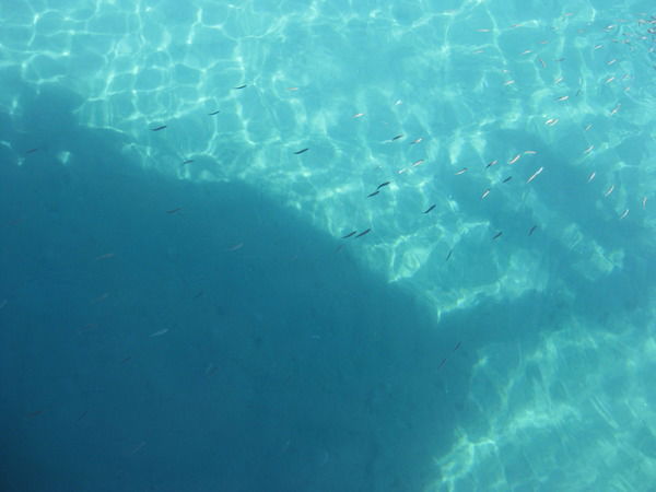 Сергей Шапиро