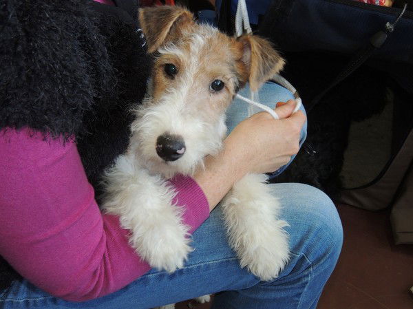 Светлана Тычкова