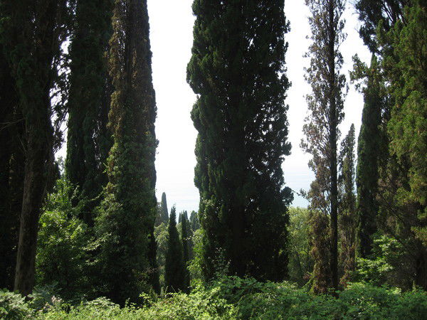 Анатолий Адамович