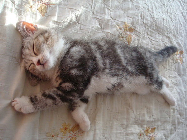 Жанат Мухамедьяров