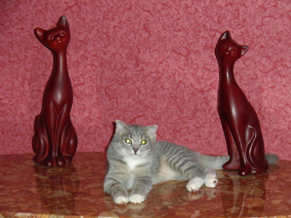 Виктория Тимченко