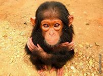 Юрий Именовский