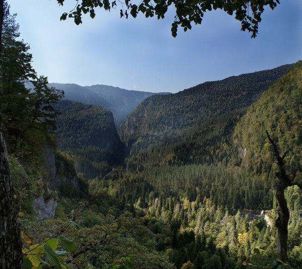 Сергей Хорошанский