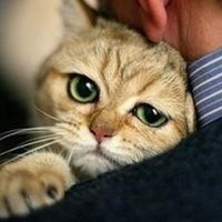 Максим Концевенко