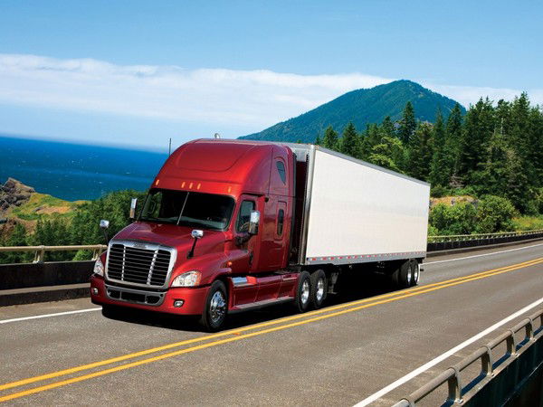 Владимир Викторович