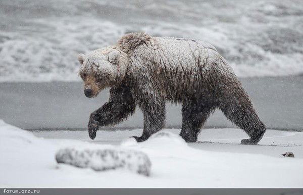 Владимир Исаков
