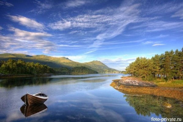 Сава Похожий