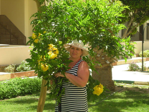 Рамзия Гильметдинова