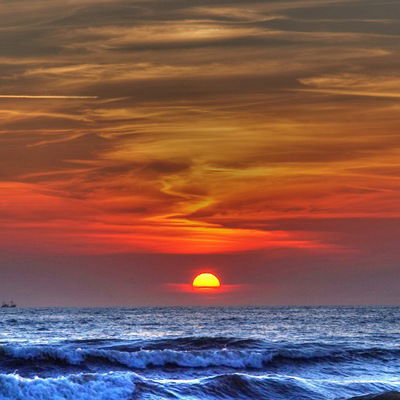 Макс Овчинников