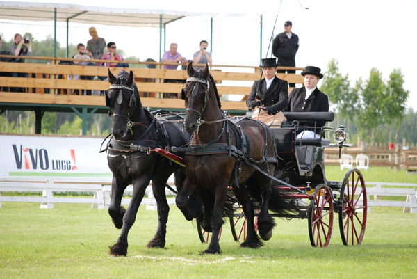 Александр Васин