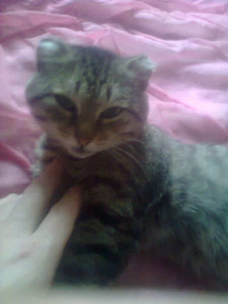 Денис Шадрухин