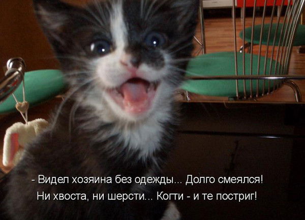 Дмитрий Герасименко