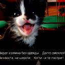 Дмитрий Герасименко