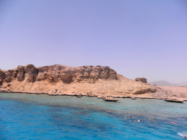 Светлана Кузнецова