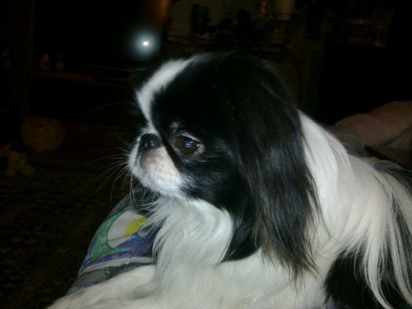 Ирина Машкина