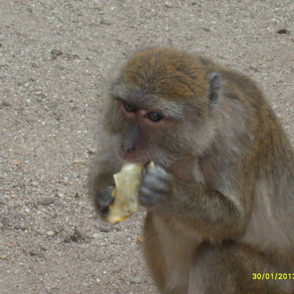 Сергей ..........ов