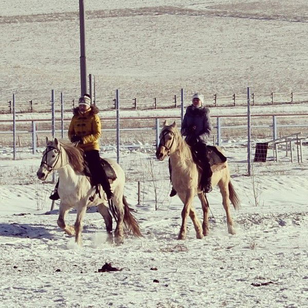 Дарья Долгашева