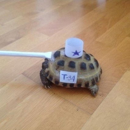 Сергей Феоклистов