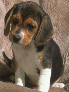 Костя Зайцев