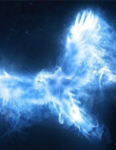 Алексей Попов(З.ф)