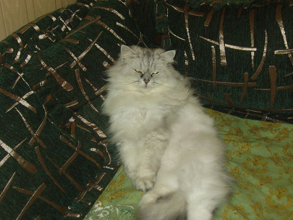 Александр Ильичёв