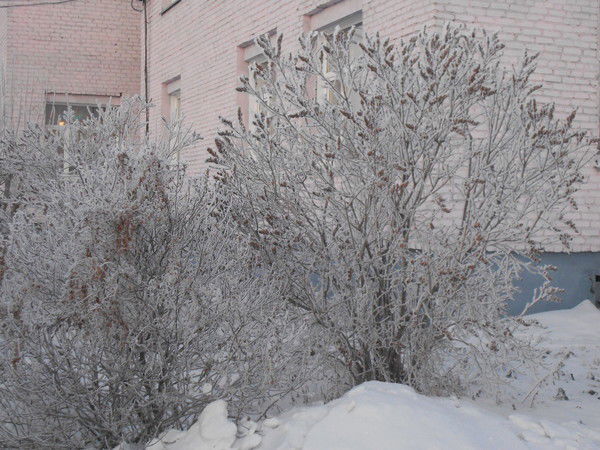 Ольга Новикова