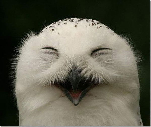 Настя Гафиятулина