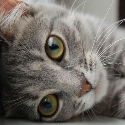 Ольга Бараева