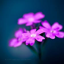 Катя Паценко