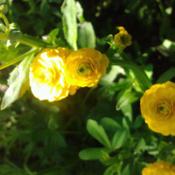 Наталья Сероусова