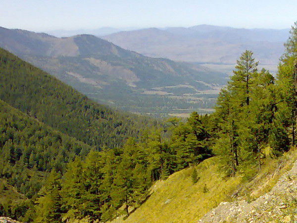 Асель Калдаева