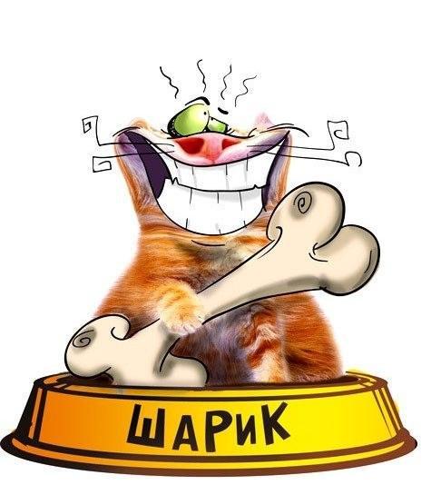 Денис Мокрушин