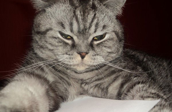 Светлана Хусиханова