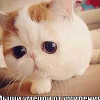 Оля Дроздова