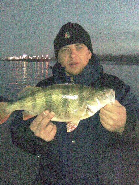 Алексей Решетов