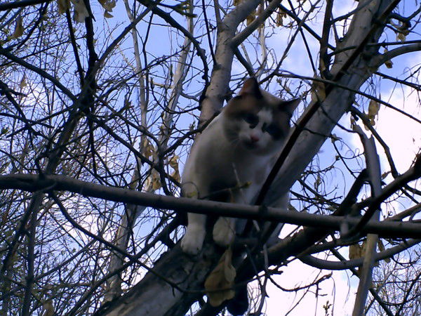 Марина Титова