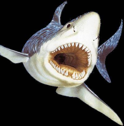 Сергей Зубарев