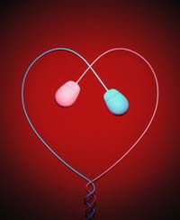 Комплит- Сервис