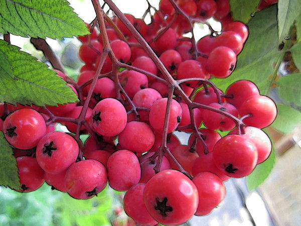 Владимир В.