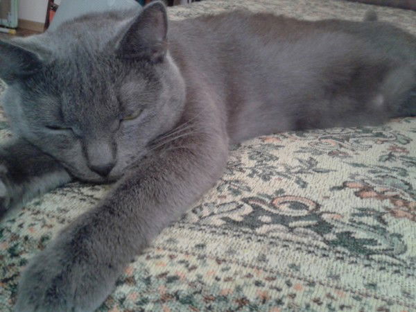 Галина Леонова